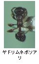 ヤドリムネボソアリ