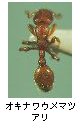 オキナワウメマツアリ