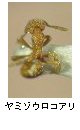 ヤミゾウロコアリ